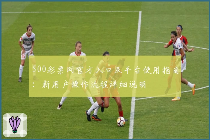 500彩票网官方入口及平台使用指南：新用户操作流程详细说明